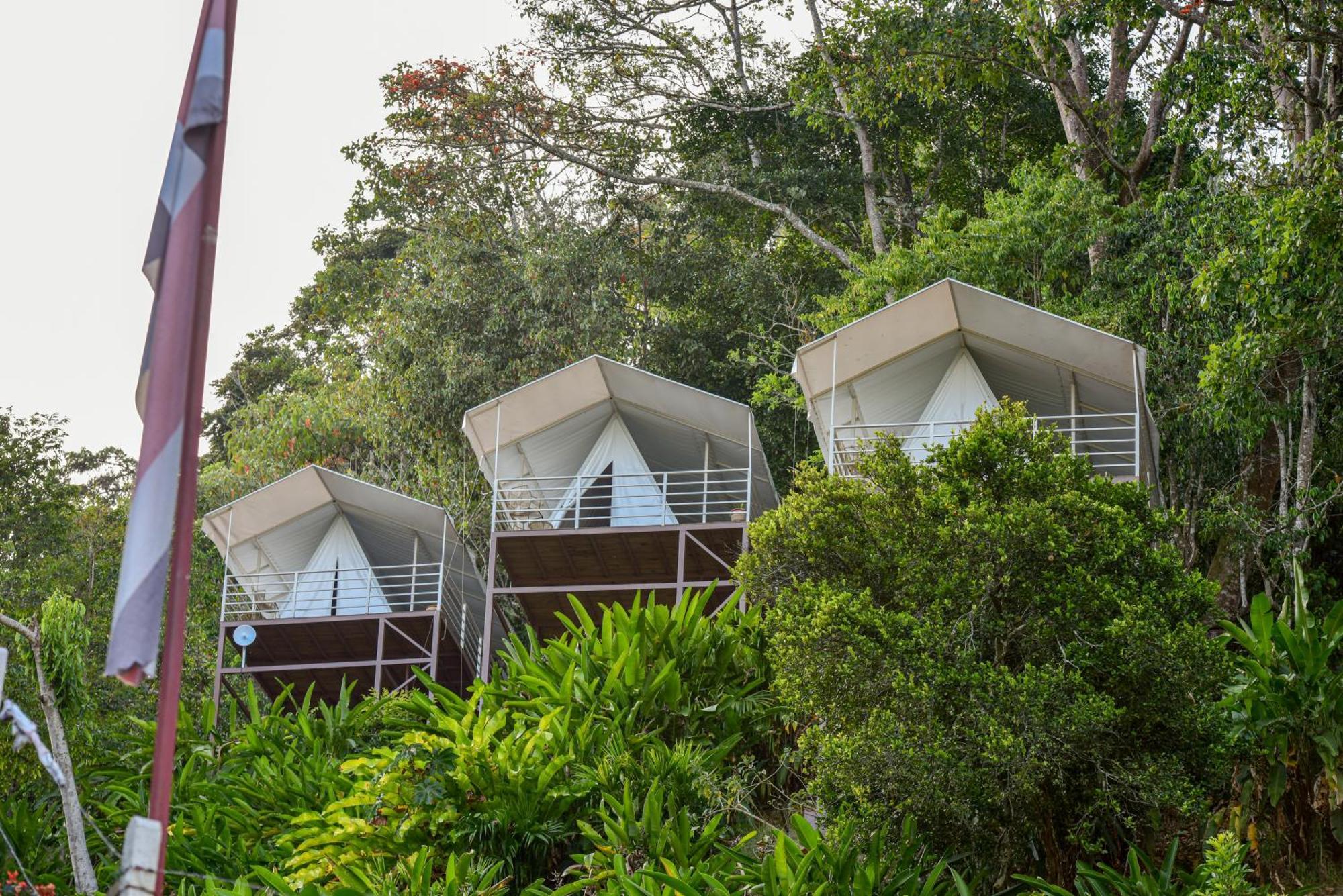 Quimera Glamping Pacuar ภายนอก รูปภาพ