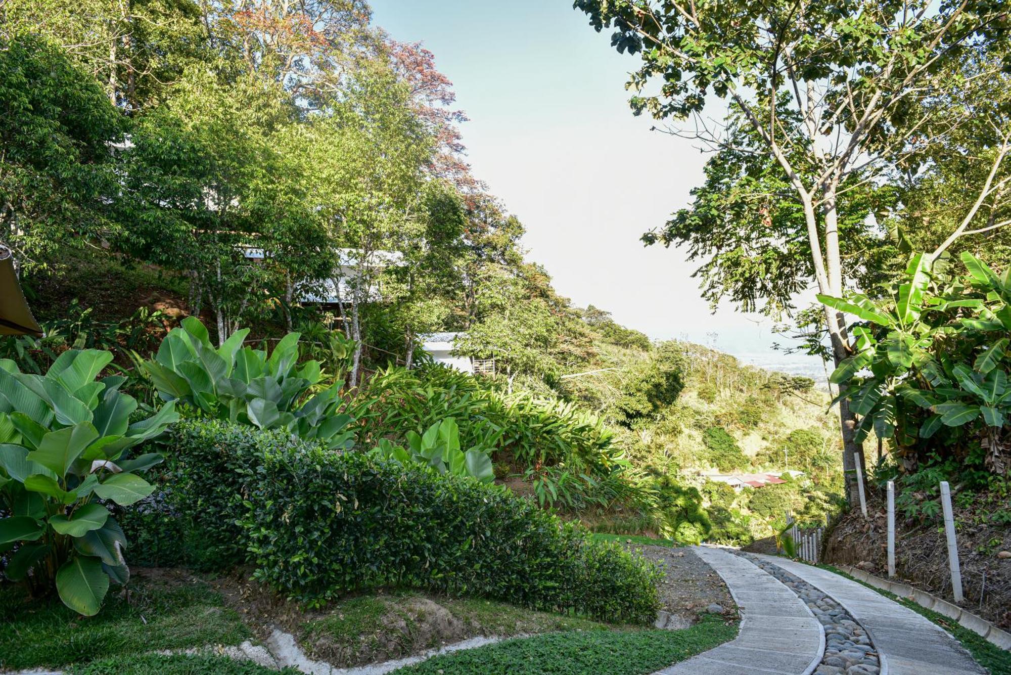 Quimera Glamping Pacuar ภายนอก รูปภาพ