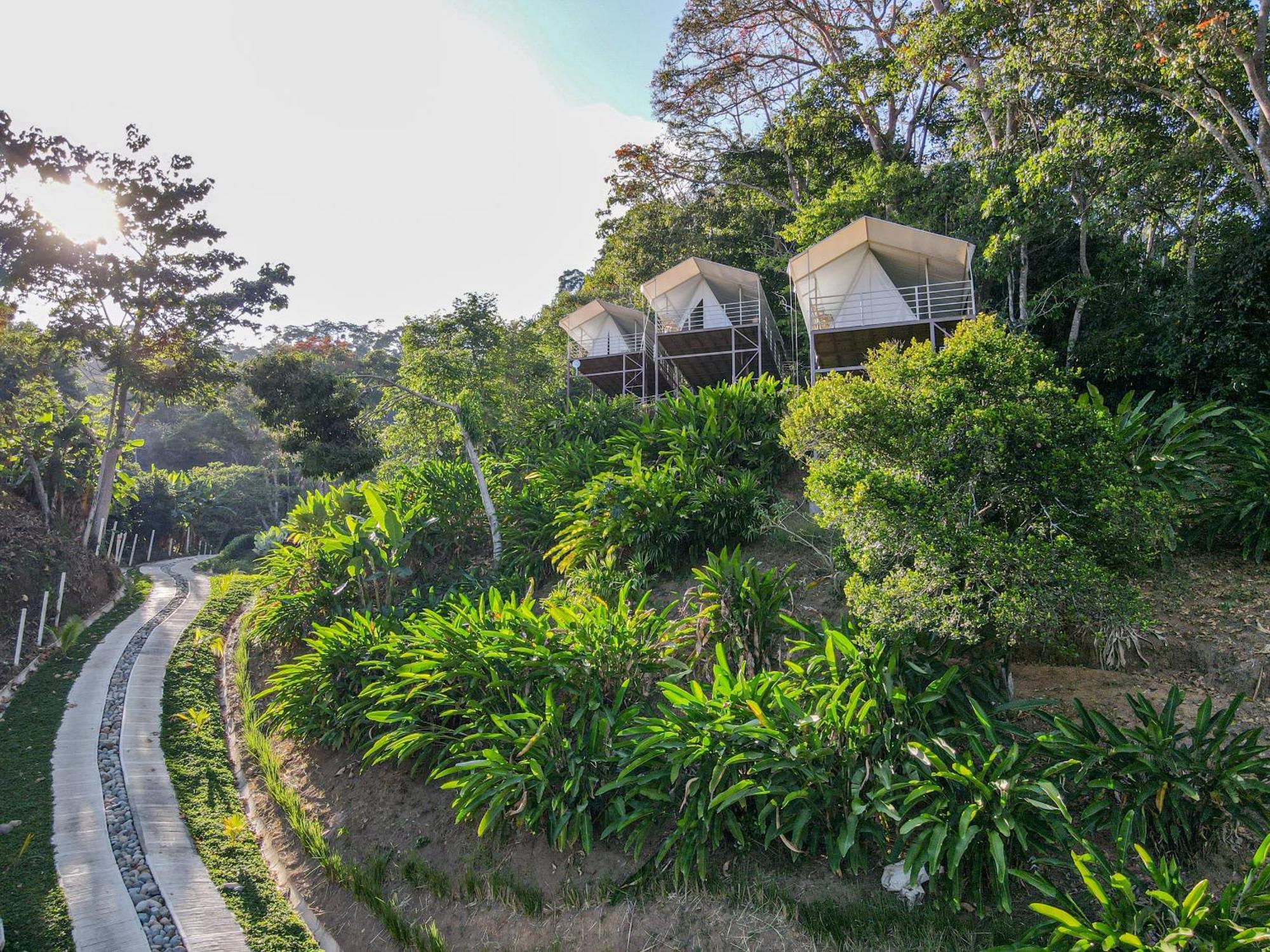 Quimera Glamping Pacuar ภายนอก รูปภาพ